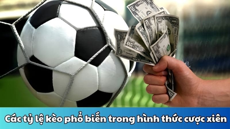 Các tỷ lệ kèo phổ biến trong hình thức cược xiên 