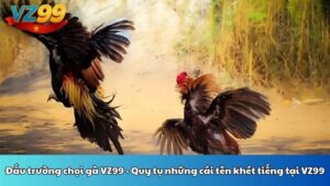Đấu trường chọi gà VZ99 - Quy tụ những cái tên khét tiếng tại VZ99